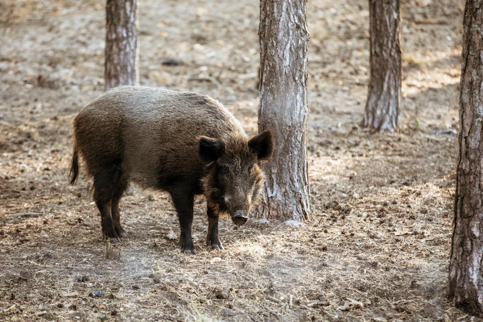 Отель Заміський комплекс відпочинку Zaliv Strasheve Экстерьер фото